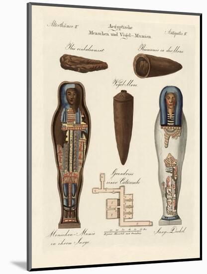 Egyptian Mummies-null-Mounted Giclee Print