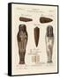 Egyptian Mummies-null-Framed Stretched Canvas