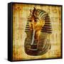 Egyptian Papyrus With Pharaoh-Maugli-l-Framed Stretched Canvas