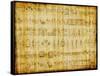 Egyptian Parchment With Hieroglyphics-Maugli-l-Framed Stretched Canvas