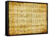 Egyptian Parchment With Hieroglyphics-Maugli-l-Framed Stretched Canvas