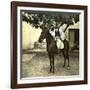 Egyptian Racer on Horseback in Cairo (Egypt)-Leon, Levy et Fils-Framed Photographic Print