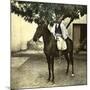 Egyptian Racer on Horseback in Cairo (Egypt)-Leon, Levy et Fils-Mounted Photographic Print