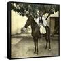 Egyptian Racer on Horseback in Cairo (Egypt)-Leon, Levy et Fils-Framed Stretched Canvas