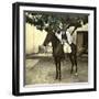 Egyptian Racer on Horseback in Cairo (Egypt)-Leon, Levy et Fils-Framed Photographic Print