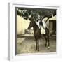 Egyptian Racer on Horseback in Cairo (Egypt)-Leon, Levy et Fils-Framed Photographic Print