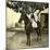 Egyptian Racer on Horseback in Cairo (Egypt)-Leon, Levy et Fils-Mounted Photographic Print