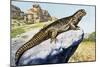 Egyptian Spiny-Tailed Lizard (Uromastyx Aegyptia), Agamidae-null-Mounted Giclee Print