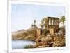 Egyptian Temple by the River Nile, Egypt, C1870-W Dickens-Stretched Canvas