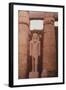 Egyptian Temple in Luxor-Philip Gendreau-Framed Photographic Print