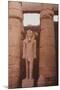 Egyptian Temple in Luxor-Philip Gendreau-Mounted Photographic Print