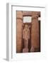 Egyptian Temple in Luxor-Philip Gendreau-Framed Photographic Print