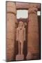 Egyptian Temple in Luxor-Philip Gendreau-Mounted Photographic Print