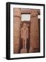 Egyptian Temple in Luxor-Philip Gendreau-Framed Photographic Print