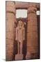 Egyptian Temple in Luxor-Philip Gendreau-Mounted Photographic Print