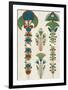 Egyptian Treasures - Botanics-Historic Collection-Framed Giclee Print