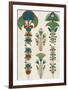 Egyptian Treasures - Botanics-Historic Collection-Framed Giclee Print