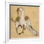 Egyptian Vulture-Aristotle ibn Bakhtishu-Framed Giclee Print