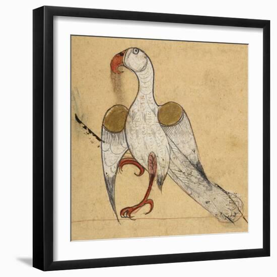 Egyptian Vulture-Aristotle ibn Bakhtishu-Framed Premium Giclee Print
