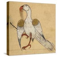 Egyptian Vulture-Aristotle ibn Bakhtishu-Stretched Canvas