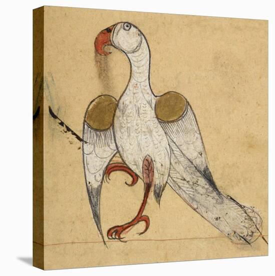 Egyptian Vulture-Aristotle ibn Bakhtishu-Stretched Canvas