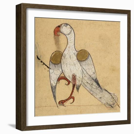 Egyptian Vulture-Aristotle ibn Bakhtishu-Framed Giclee Print