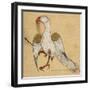 Egyptian Vulture-Aristotle ibn Bakhtishu-Framed Giclee Print