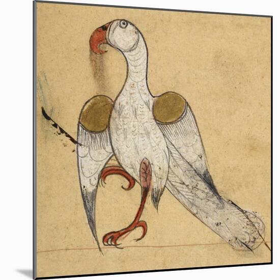 Egyptian Vulture-Aristotle ibn Bakhtishu-Mounted Giclee Print