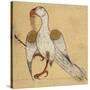 Egyptian Vulture-Aristotle ibn Bakhtishu-Stretched Canvas