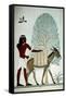 Egyptian with a donkey.-null-Framed Stretched Canvas