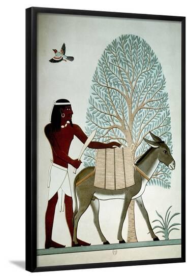 Poster, , large