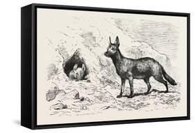 Egyptian Wolf, Deeb. Egypt, 1879-null-Framed Stretched Canvas