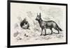 Egyptian Wolf, Deeb. Egypt, 1879-null-Framed Giclee Print