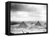 Egyptian WWII Pilots from Middle East Command Training-null-Framed Stretched Canvas