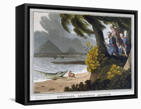 'Egyptians, Crocodile Catching', 1813-Matthew Dubourg-Framed Stretched Canvas