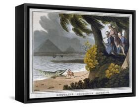 'Egyptians, Crocodile Catching', 1813-Matthew Dubourg-Framed Stretched Canvas