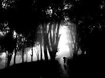 Misty Hillside-Eh Kartanegara-Photographic Print
