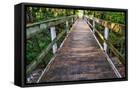 Framed Canvas