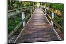 Wood Mount