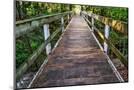 Wood Mount