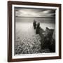 Eicero-David Baker-Framed Photographic Print