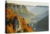 Eichfelsen Near Irndorf of Donautal, Schaufelsen and Werenwag Castle, Swabian Alb, Germany-Jochen Schlenker-Stretched Canvas