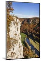 Eichfelsen Rock and Danube Valley in Autumn-Markus-Mounted Photographic Print