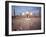 Eid Ul Fitr Celebration, Badshahi Mosque, Lahore, Pakistan-null-Framed Photographic Print