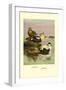 Eider and King Eider Ducks-Allan Brooks-Framed Art Print