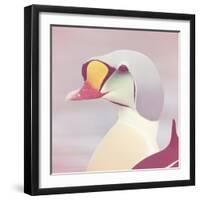 Eider - Soft-Staffan Widstrand-Framed Giclee Print