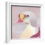 Eider - Soft-Staffan Widstrand-Framed Giclee Print