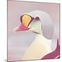 Eider - Soft-Staffan Widstrand-Mounted Giclee Print