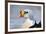 Eider-Staffan Widstrand-Framed Giclee Print