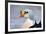 Eider-Staffan Widstrand-Framed Giclee Print